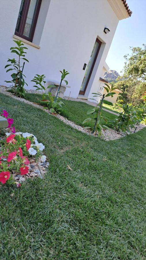 B&B La Chintina 圣安托尼奥迪加卢拉 外观 照片