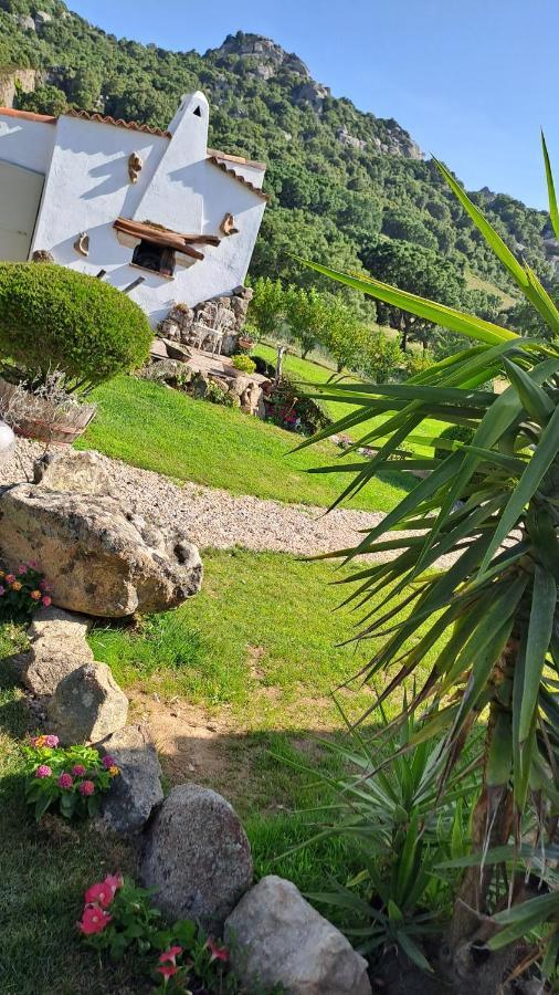 B&B La Chintina 圣安托尼奥迪加卢拉 外观 照片